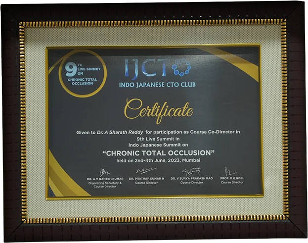 CTO Summit Excellence Certificate