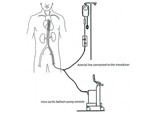 service Image