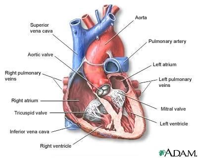 Types of Heart Failure