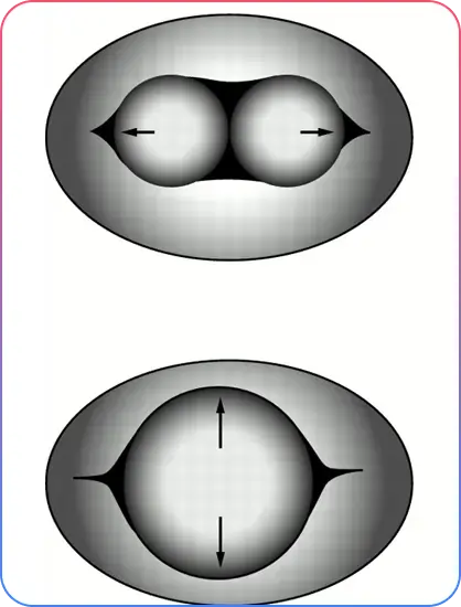 Pre Procedural Imaging