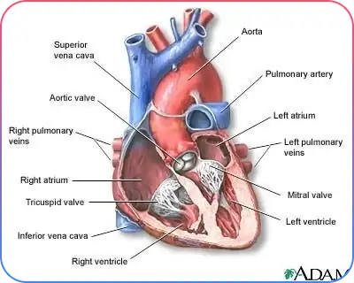 Types of Heart Failure